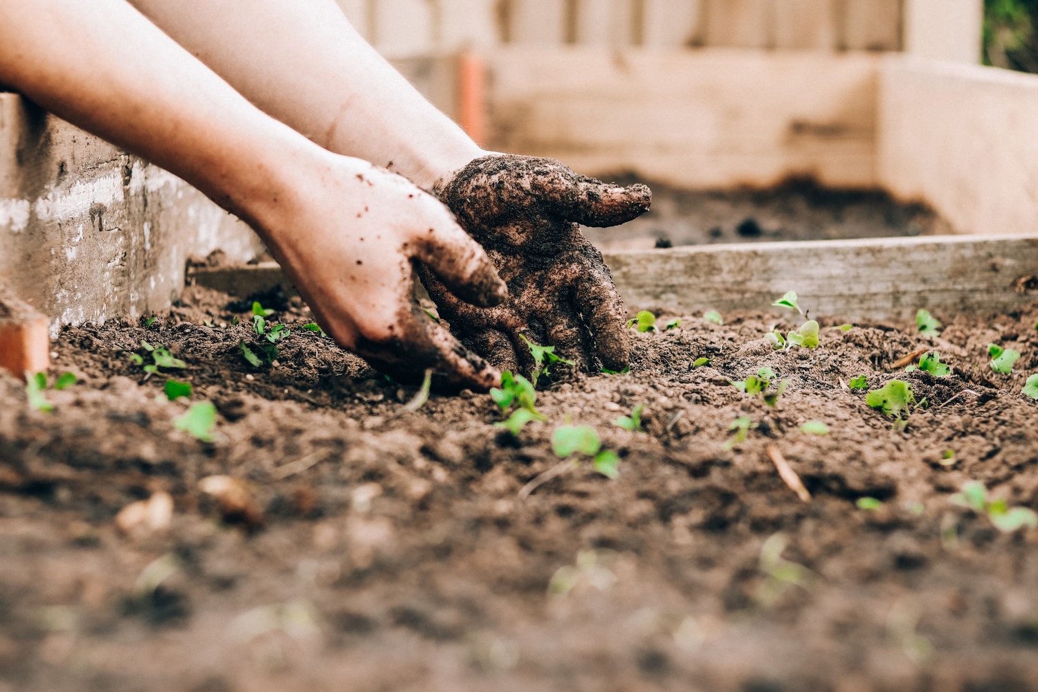 Growing the Garden: A Focus on Coaching - Divine Renovation