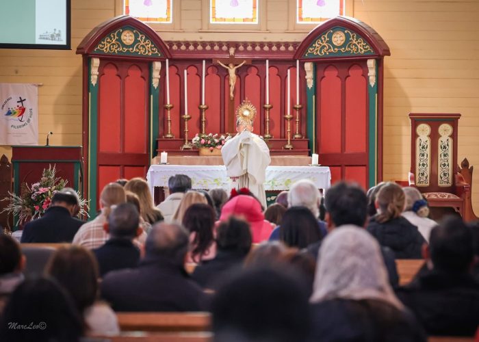 father junray father junray